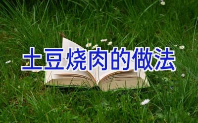 土豆烧肉的做法插图