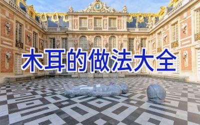 木耳的做法大全插图