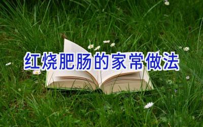 红烧肥肠的家常做法插图