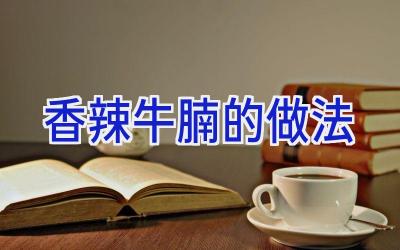 香辣牛腩的做法插图