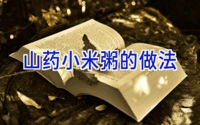 山药小米粥的做法插图