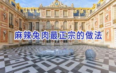 麻辣兔肉最正宗的做法插图 麻辣兔肉最正宗的做法插图