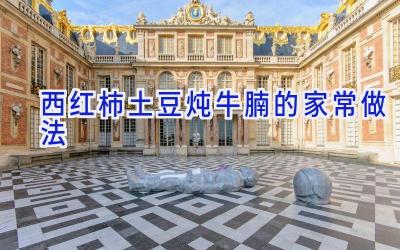 西红柿土豆炖牛腩的家常做法插图 西红柿土豆炖牛腩的家常做法插图