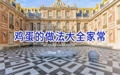 鸡蛋的做法大全家常插图 鸡蛋的做法大全家常插图