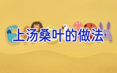 上汤桑叶的做法插图 上汤桑叶的做法插图