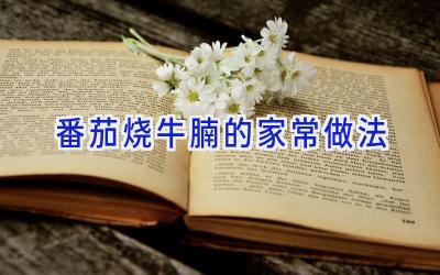 番茄烧牛腩的家常做法插图 番茄烧牛腩的家常做法插图