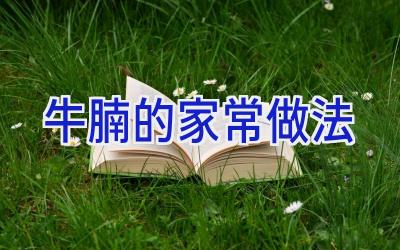 牛腩的家常做法插图 牛腩的家常做法插图