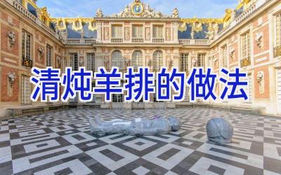 清炖羊排的做法插图